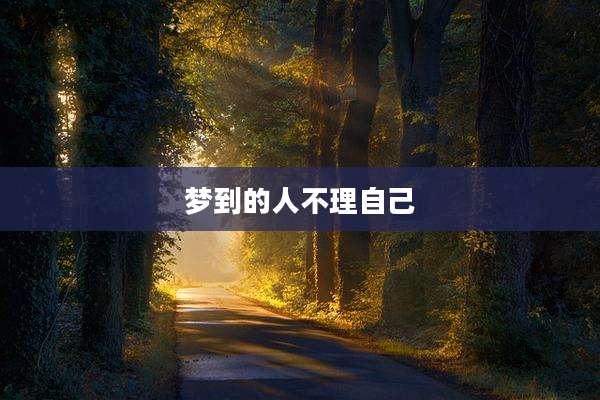 梦到的人不理自己