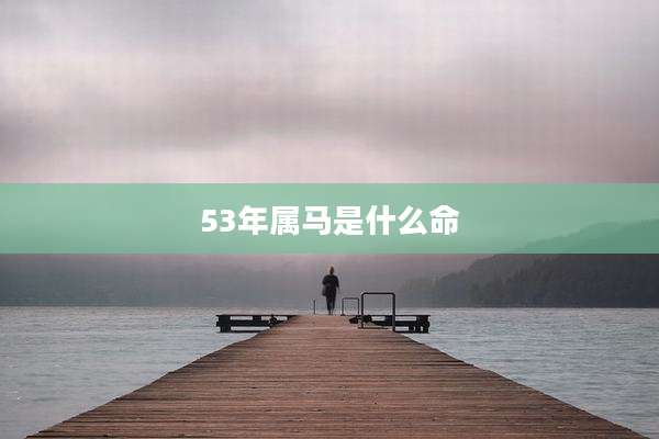 53年属马是什么命
