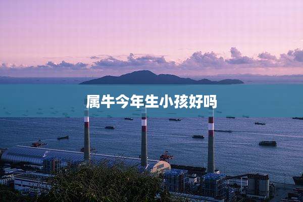属牛今年生小孩好吗
