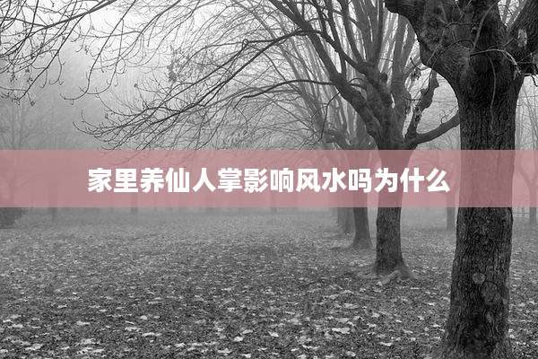 家里养仙人掌影响风水吗为什么