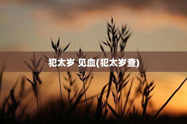 犯太岁 见血(犯太岁查)