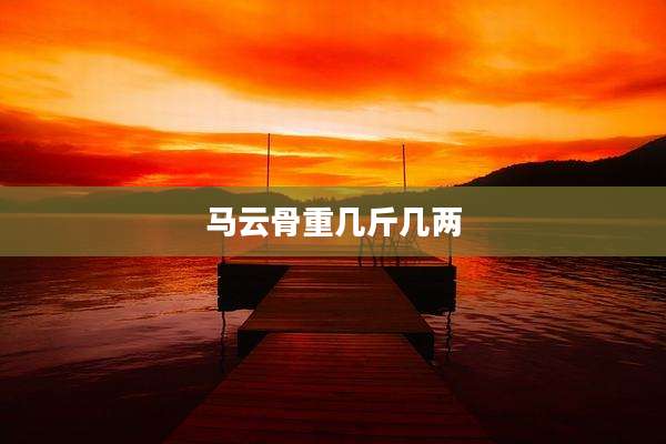 马云骨重几斤几两