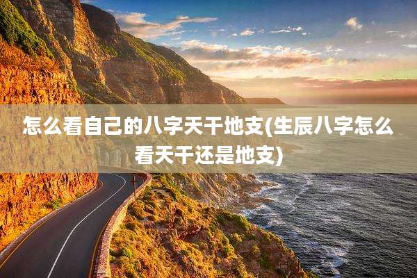 怎么看自己的八字天干地支(生辰八字怎么看天干还是地支)