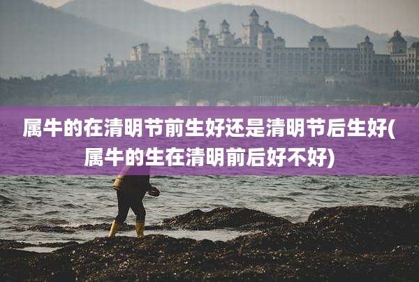 属牛的在清明节前生好还是清明节后生好(属牛的生在清明前后好不好)