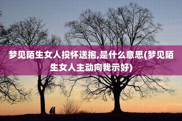 梦见陌生女人投怀送抱,是什么意思(梦见陌生女人主动向我示好)