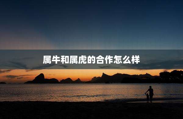 属牛和属虎的合作怎么样