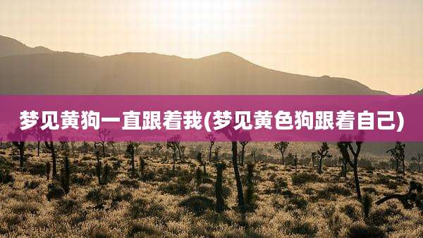 梦见黄狗一直跟着我(梦见黄色狗跟着自己)