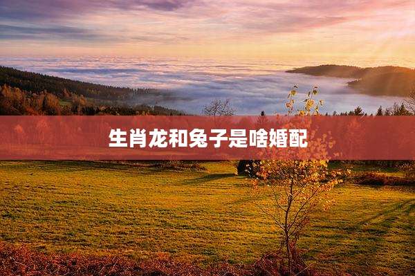 生肖龙和兔子是啥婚配