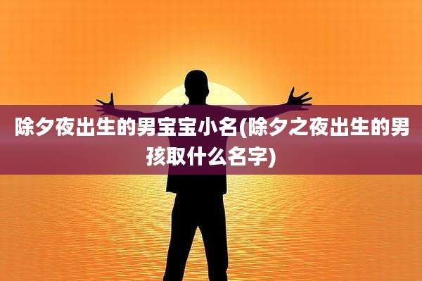 除夕夜出生的男宝宝小名(除夕之夜出生的男孩取什么名字)