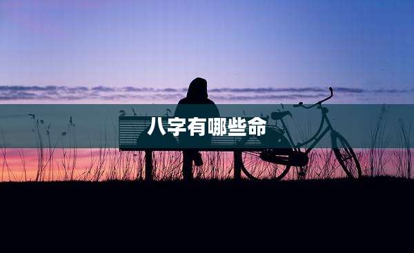 八字有哪些命