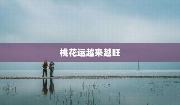 桃花运越来越旺