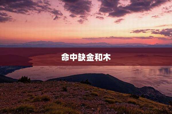 命中缺金和木
