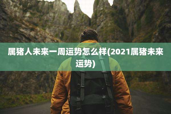 属猪人未来一周运势怎么样(2021属猪未来运势)