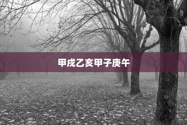 甲戌乙亥甲子庚午