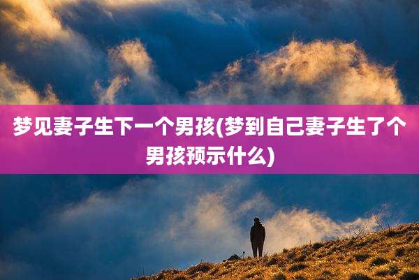 梦见妻子生下一个男孩(梦到自己妻子生了个男孩预示什么)