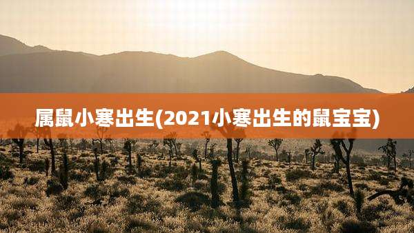 属鼠小寒出生(2021小寒出生的鼠宝宝)
