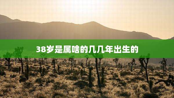38岁是属啥的几几年出生的