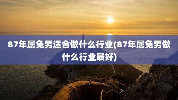 87年属兔男适合做什么行业(87年属兔男做什么行业最好)