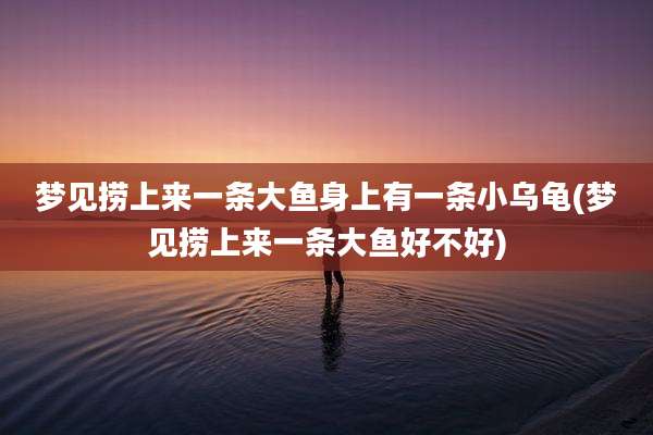 梦见捞上来一条大鱼身上有一条小乌龟(梦见捞上来一条大鱼好不好)