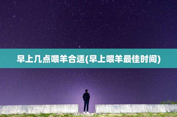 早上几点喂羊合适(早上喂羊最佳时间)