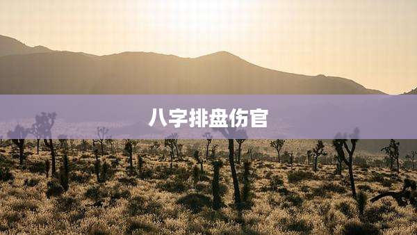 八字排盘伤官