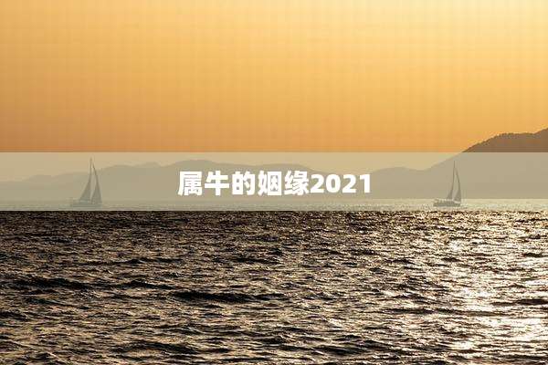 属牛的姻缘2021