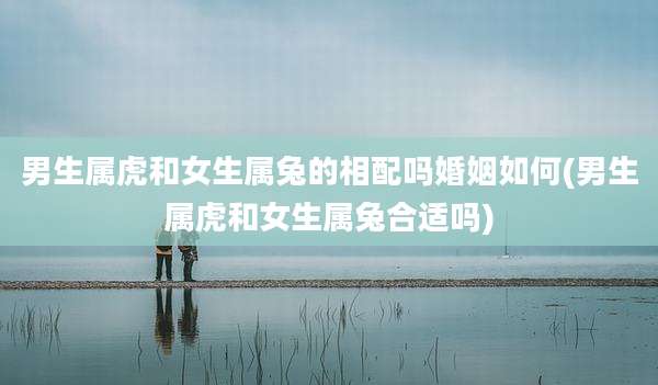 男生属虎和女生属兔的相配吗婚姻如何(男生属虎和女生属兔合适吗)