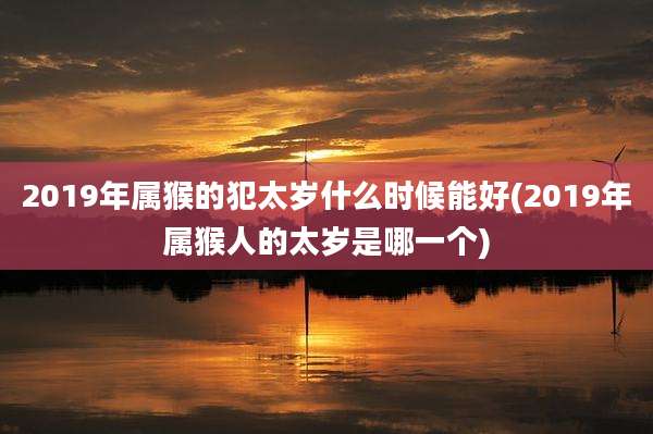 2019年属猴的犯太岁什么时候能好(2019年属猴人的太岁是哪一个)