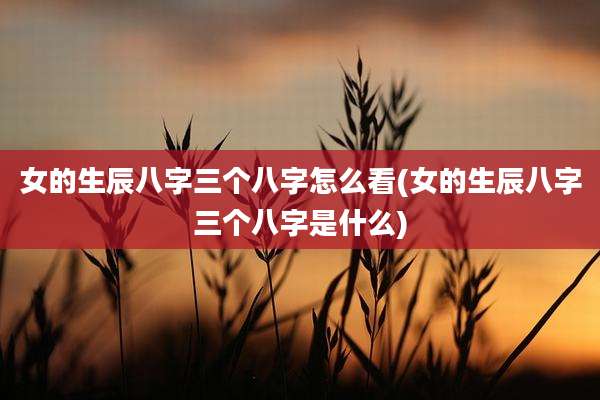 女的生辰八字三个八字怎么看(女的生辰八字三个八字是什么)
