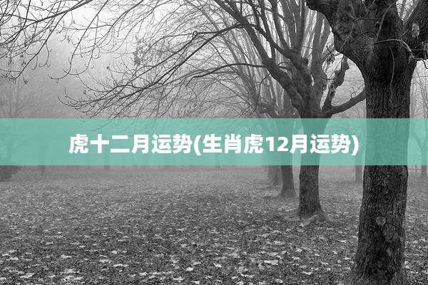 虎十二月运势(生肖虎12月运势)