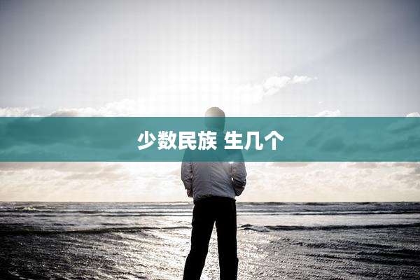 少数民族 生几个