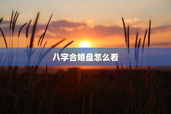 八字合婚盘怎么看