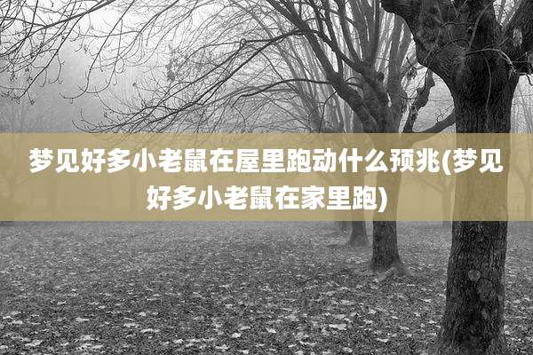 梦见好多小老鼠在屋里跑动什么预兆(梦见好多小老鼠在家里跑)