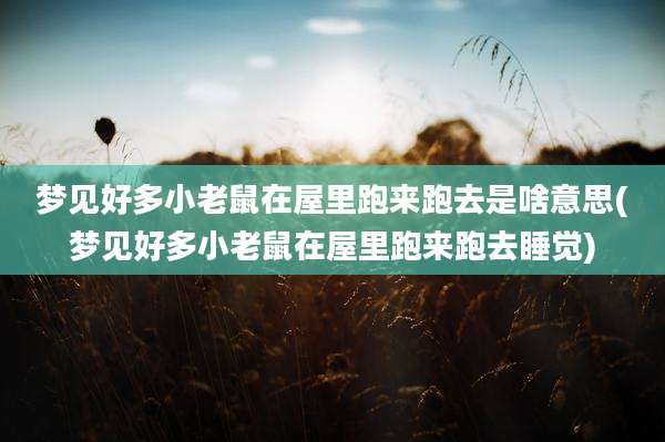 梦见好多小老鼠在屋里跑来跑去是啥意思(梦见好多小老鼠在屋里跑来跑去睡觉)