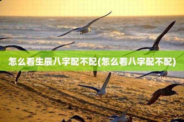 怎么看生辰八字配不配(怎么看八字配不配)