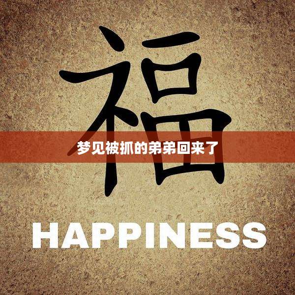 梦见被抓的弟弟回来了
