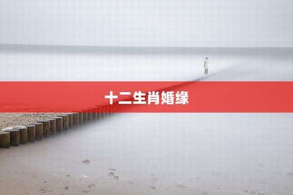 十二生肖婚缘