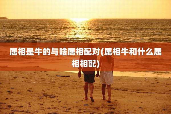 属相是牛的与啥属相配对(属相牛和什么属相相配)