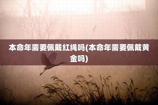 本命年需要佩戴红绳吗(本命年需要佩戴黄金吗)