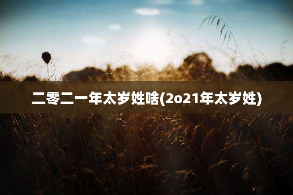 二零二一年太岁姓啥(2o21年太岁姓)