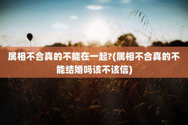 属相不合真的不能在一起?(属相不合真的不能结婚吗该不该信)