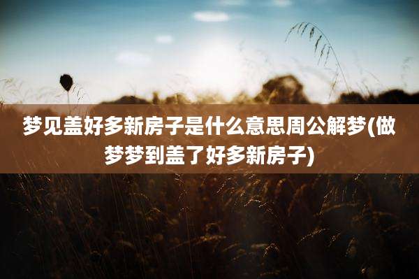 梦见盖好多新房子是什么意思周公解梦(做梦梦到盖了好多新房子)