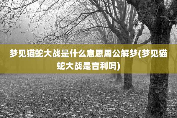 梦见猫蛇大战是什么意思周公解梦(梦见猫蛇大战是吉利吗)