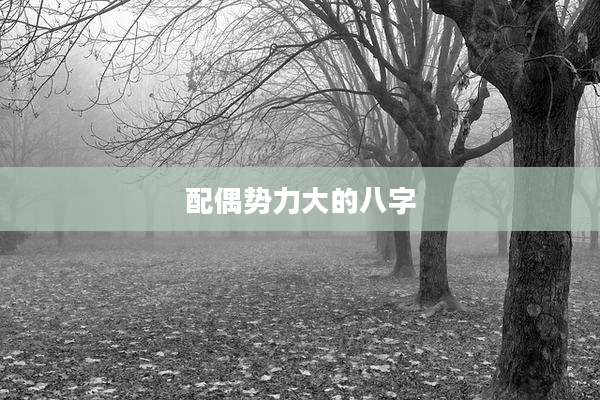 配偶势力大的八字