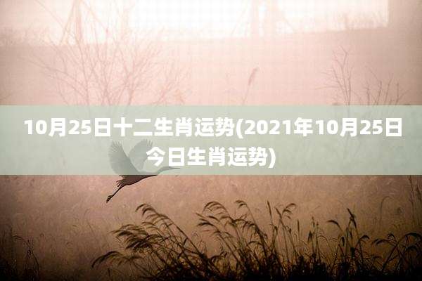 10月25日十二生肖运势(2021年10月25日今日生肖运势)