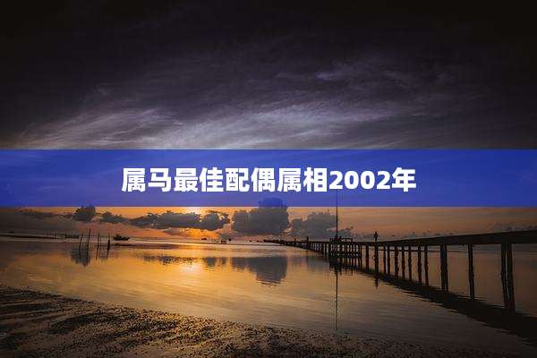 属马最佳配偶属相2002年