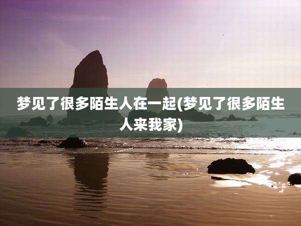 梦见了很多陌生人在一起(梦见了很多陌生人来我家)