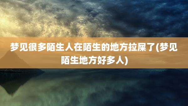 梦见很多陌生人在陌生的地方拉屎了(梦见陌生地方好多人)