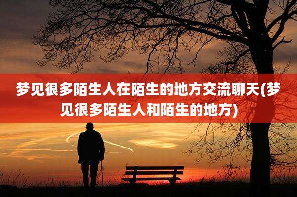 梦见很多陌生人在陌生的地方交流聊天(梦见很多陌生人和陌生的地方)