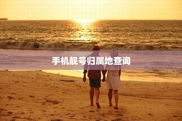 手机靓号归属地查询